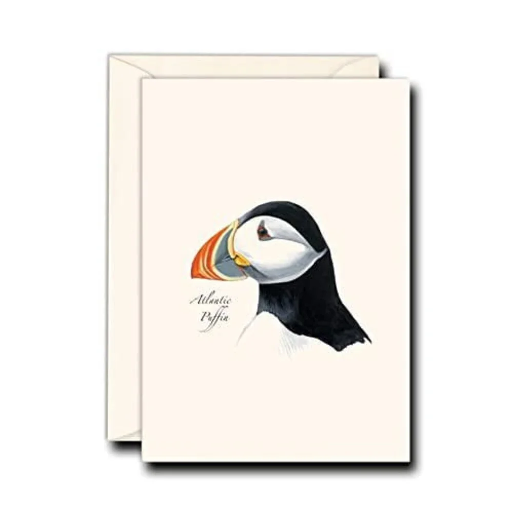Earth Sky + Water - Sibley?s Atlantic Puffin Notecard Set - 8 Blank Cards with E